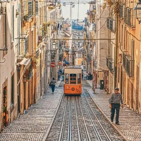 Apartment In Lisbon